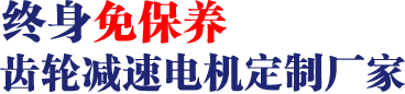 17年专注齿轮减速马达、调速电机研发、生产